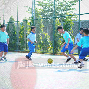 带有盾牌轮廓的稳定版标识图形